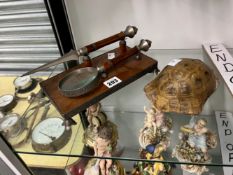 AN ANTIQUE TORTOISE SHELL,TOGETHER WITH A DESK STAND WITH MAGNIFYING GLASS AND A LETTER OPENER.