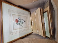 A COLLECTION OF BOTANICAL AND OTHER FRAMED PRINTS