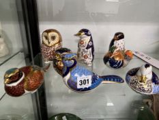 A GROUP OF EIGHT ROYAL CROWN DERBY PAPERWEIGHTS TO INCLUDE BIRDS AND A PLATYPUS.