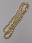 A CONTINUOUS ROW OF KNOTTED CULTURED PEARLS. PEARL DIAMETER APPROXIMATELY 6.5mm, LENGTH 76cms.