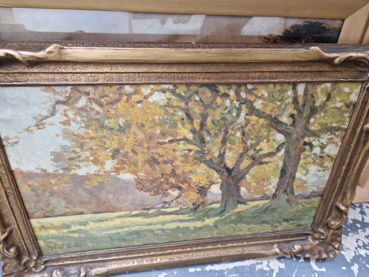 ROBERT JONES, 20th C. ENGLISH SCHOOL, THREE LANDSCAPE OIL PAINTINGS ALL SIGNED ON INSCRIBED , TWO ON - Image 6 of 7