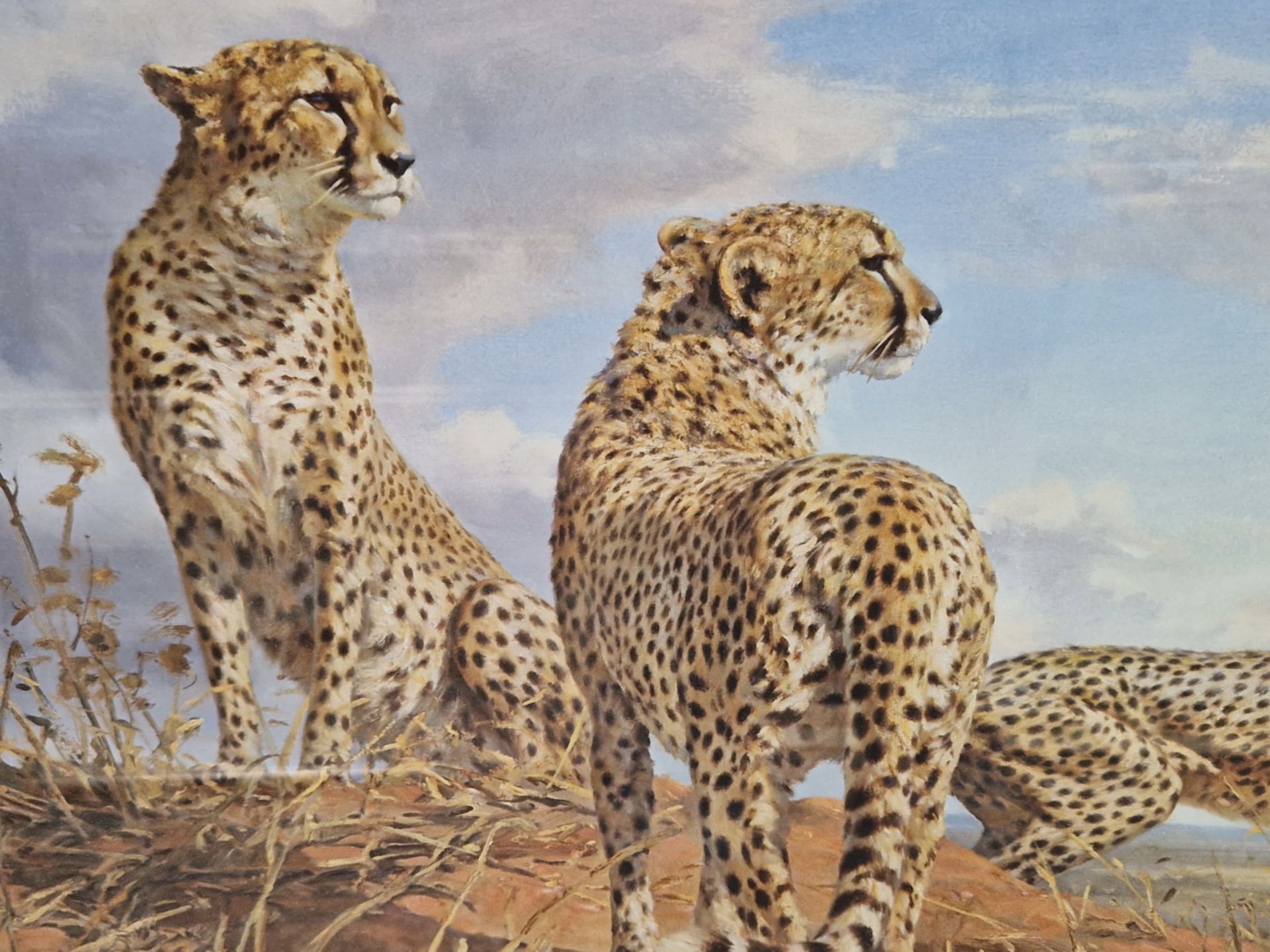 AFTER DONALD GRANT (CONTEMPORARY SCHOOL) ARR. CHEETAH TRIO, PENCIL SIGNED LIMITED EDITION COLOUR