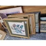 A GROUP OF DECORATIVE PICTURES AND PHOTOGRAPHS INCLUDING BOTANICAL SUBJECTS, LANDSCAPES ETC. SIZES