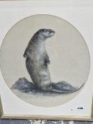 DORIS WILLIAMS (20th C. ENGLISH SCHOOL) ARR. AN OVAL PASTEL OF AN OTTER TOGETHER WITH A PASTEL