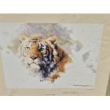 AFTER DAVID SHEPHERD A PENCIL SIGNED LIMITED EDITION PRINT OF A TIGER. 23 x 27cms TOGETHER WITH