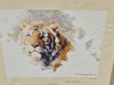 AFTER DAVID SHEPHERD A PENCIL SIGNED LIMITED EDITION PRINT OF A TIGER. 23 x 27cms TOGETHER WITH