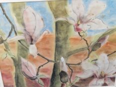 NORMAN WESTWOOD( 20th C.) . A STUDY OF MAGNOLIA AND A FURTHER WATERCOLOUR  FLORAL SUBJECT SIGNED