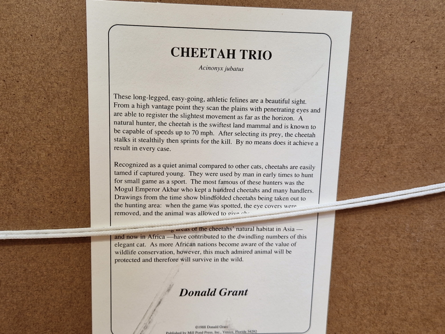 AFTER DONALD GRANT (CONTEMPORARY SCHOOL) ARR. CHEETAH TRIO, PENCIL SIGNED LIMITED EDITION COLOUR - Image 6 of 7