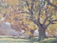 ROBERT JONES, 20th C. ENGLISH SCHOOL, THREE LANDSCAPE OIL PAINTINGS ALL SIGNED ON INSCRIBED , TWO ON