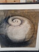 KIRSTY MARSHALL (20th C.) ARR. A LARGE SHELL, SIGNED, PASTEL. 68 x 62cms