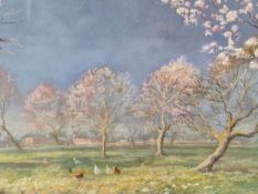 20th C. ENGLISH SCHOOL CHICKENS IN AN ORCHARD, SIGNED INDISTINCTLY, PASTEL. 44 x 61cms TOGETHER WITH