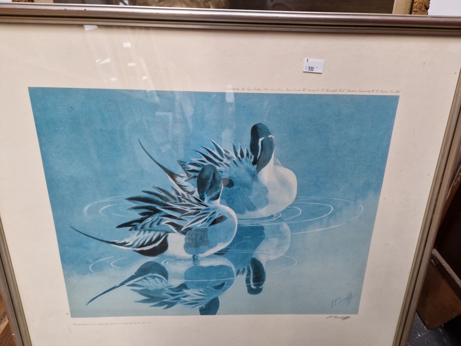 A VINTAGE PEARS PRINT OF BUBBLES TOGETHER WITH THREE DECORATIVE BIRD PICTURES. SIZES VARY (4) - Image 5 of 8