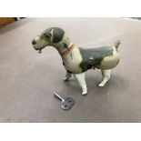 A GERMAN TIN PLATE CLOCKWORK DOG COMPLETE WITH WINDING KEY.