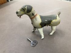 A GERMAN TIN PLATE CLOCKWORK DOG COMPLETE WITH WINDING KEY.