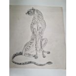 AN INK AND WASH DRAWING OF A CHEETAH TOGETHER WITH TWO ETCHINGS BY OLIVIA LESTER