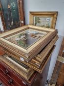 A GROUP OF LATE 19TH/ EARLY 20TH CENTURY GILT FRAMED DECORATIVE PICTURES