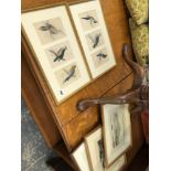 SIX HAND COLOURED PRINTS OF BIRDS FRAMED AS TWO, AND THREE FURTHER PRINTS
