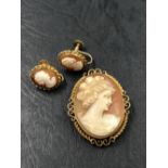 A HALLMARKED 9ct GOLD SHELL CAMEO PORTRAIT BROOCH, TOGETHER WITH A PAIR OF SIMILAR EARRINGS WITH