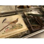 BIRD PRINTS, A FRAMED RELIEF PLAQUE OF CHARGING KNIGHTS, A FRAME AND AN OIL OF A PEKINESE DOG