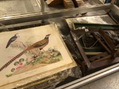 BIRD PRINTS, A FRAMED RELIEF PLAQUE OF CHARGING KNIGHTS, A FRAME AND AN OIL OF A PEKINESE DOG