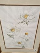 ROMNEYA COULTERI TWO WATERCOLOURS OF FLORAL SUBJECTS, SIGNED. LARGEST 54 x 37cms (2)