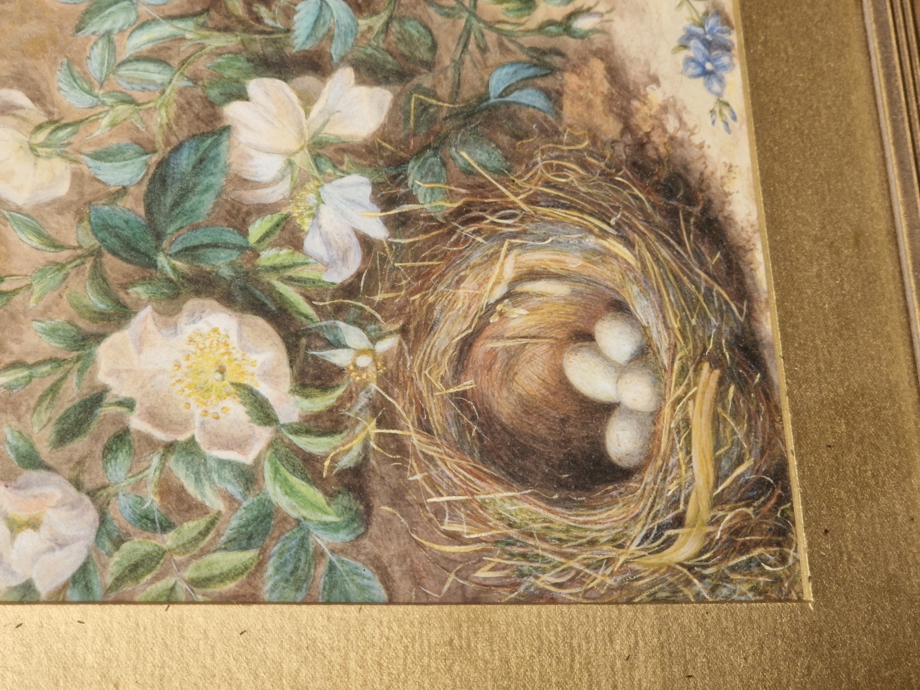 19th CENTURY ENGLISH SCHOOL A PAIR OF BIRD NESTS STILL LIFES, SIGNED INDISTINCTLY, WATERCOLOURS. - Image 2 of 7