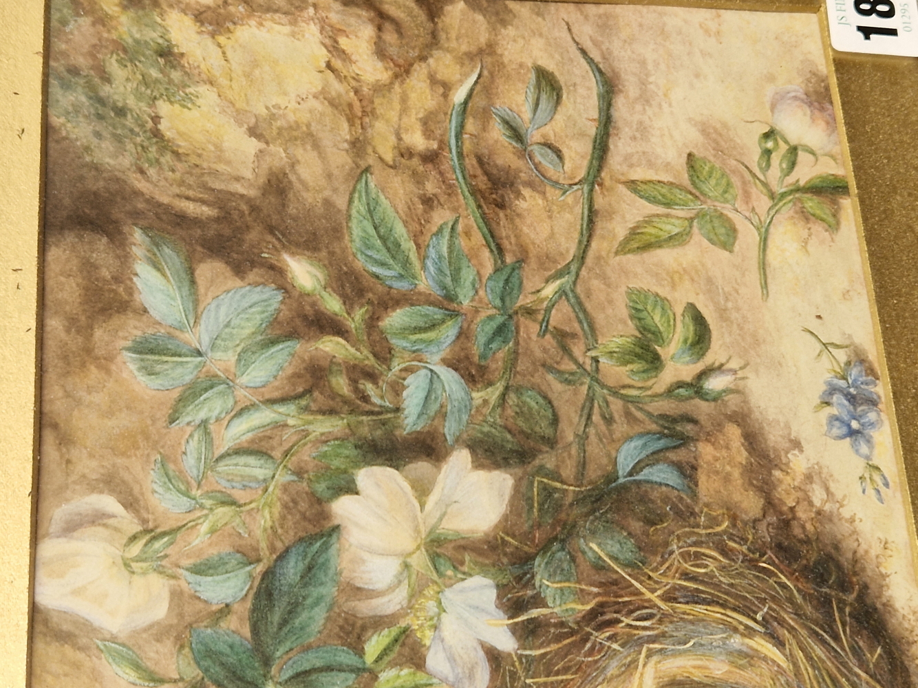 19th CENTURY ENGLISH SCHOOL A PAIR OF BIRD NESTS STILL LIFES, SIGNED INDISTINCTLY, WATERCOLOURS. - Image 3 of 7