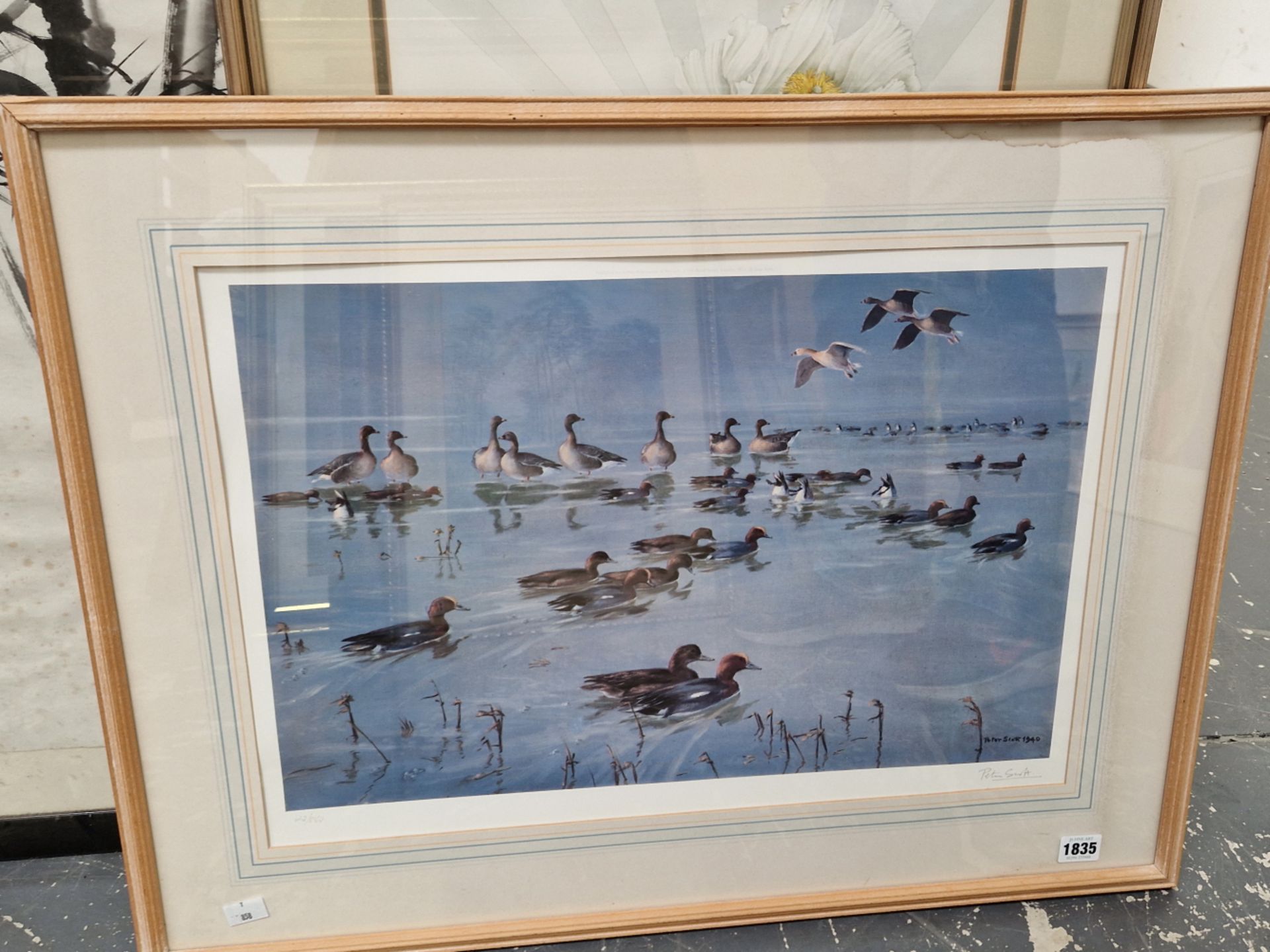 AFTER PETER SCOTT A PENCIL SIGNED LIMITED EDITION COLOUR PRINT OF DUCKS. 38 x 56cms - Image 2 of 5
