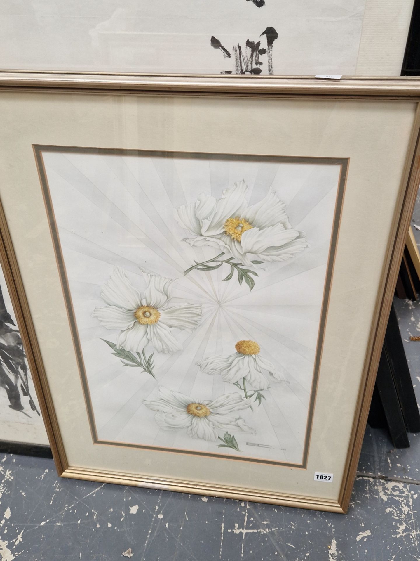 ROMNEYA COULTERI TWO WATERCOLOURS OF FLORAL SUBJECTS, SIGNED. LARGEST 54 x 37cms (2) - Image 2 of 7