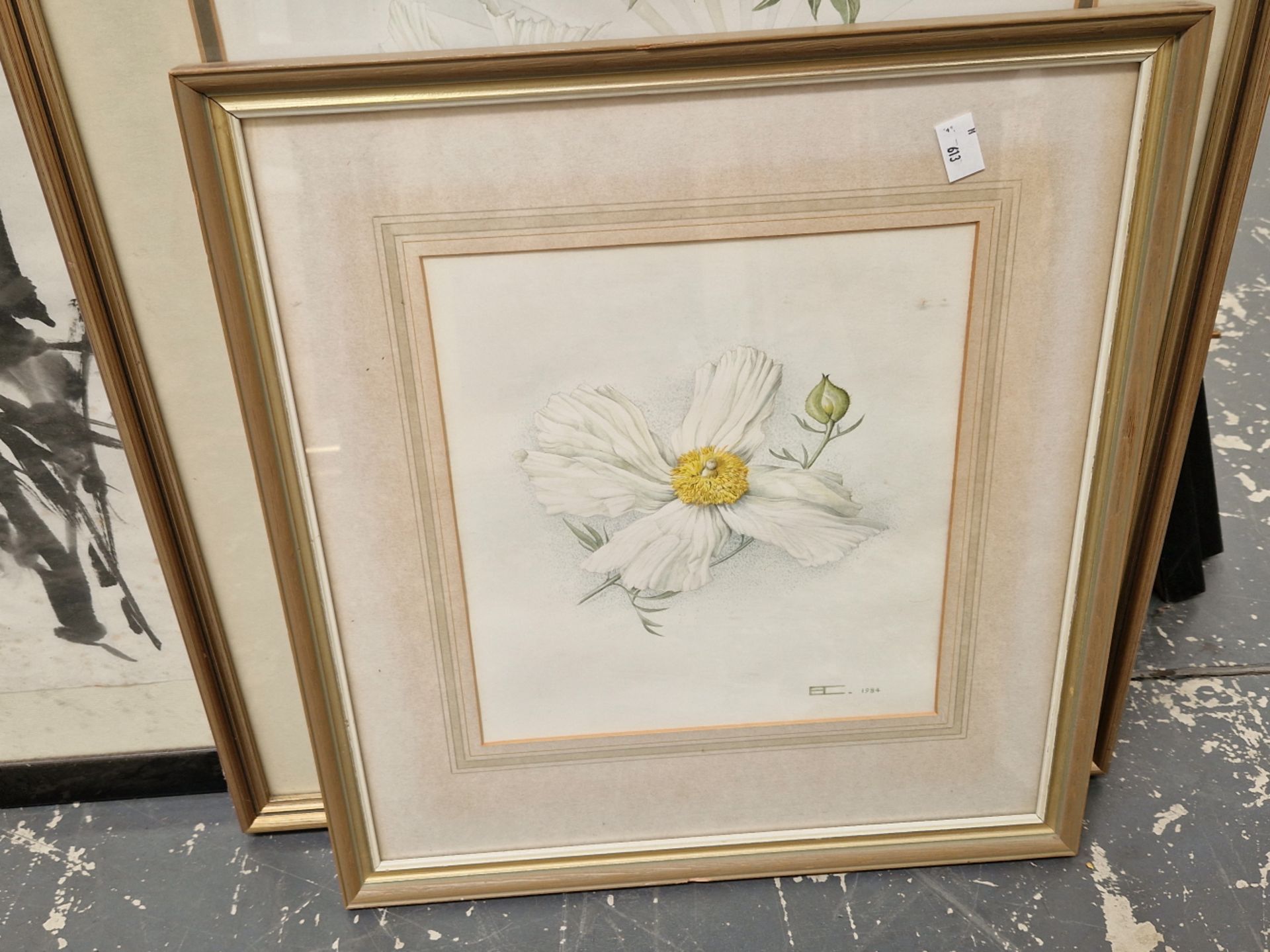 ROMNEYA COULTERI TWO WATERCOLOURS OF FLORAL SUBJECTS, SIGNED. LARGEST 54 x 37cms (2) - Image 5 of 7