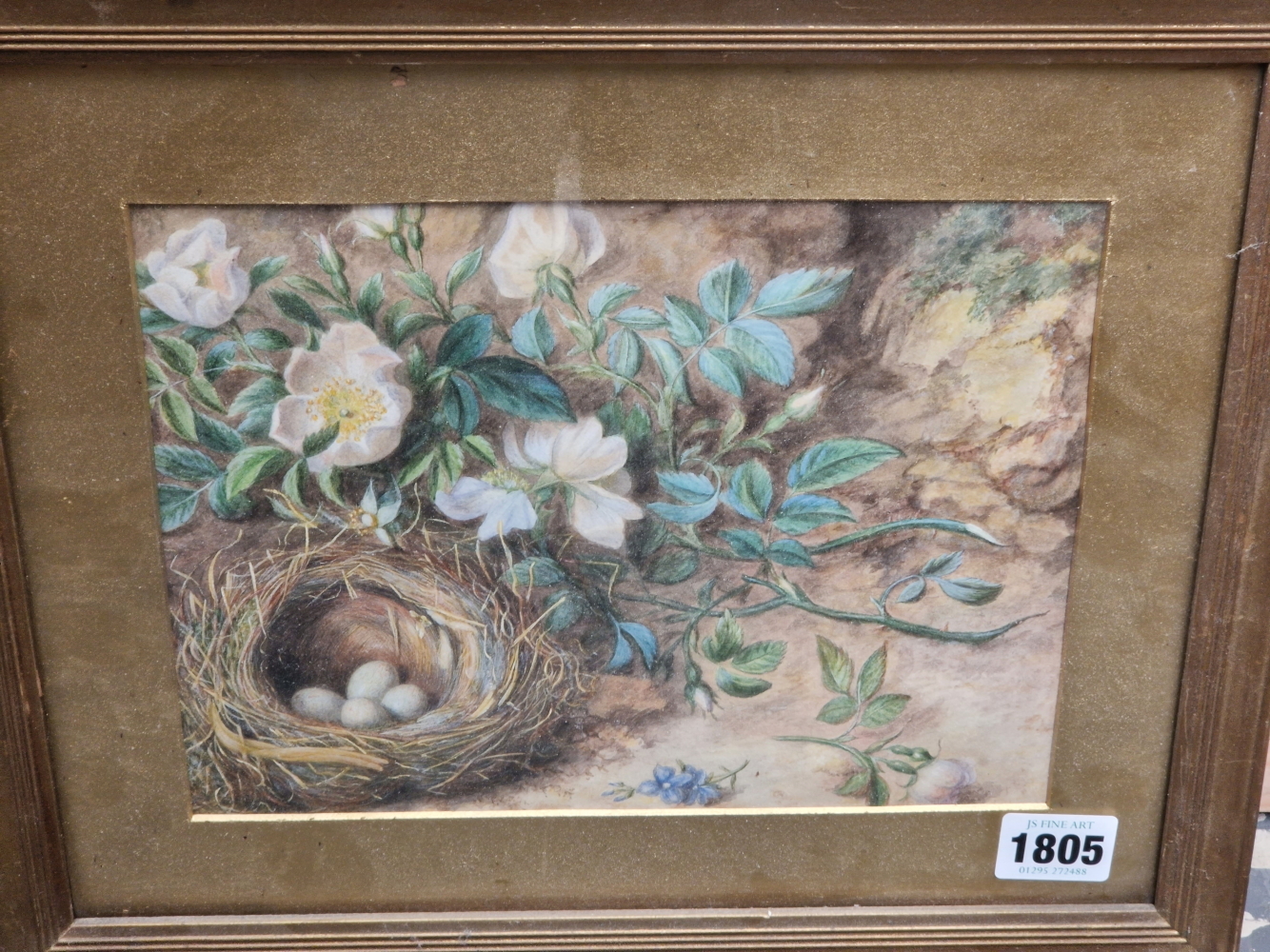 19th CENTURY ENGLISH SCHOOL A PAIR OF BIRD NESTS STILL LIFES, SIGNED INDISTINCTLY, WATERCOLOURS.