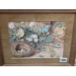 19th CENTURY ENGLISH SCHOOL A PAIR OF BIRD NESTS STILL LIFES, SIGNED INDISTINCTLY, WATERCOLOURS.
