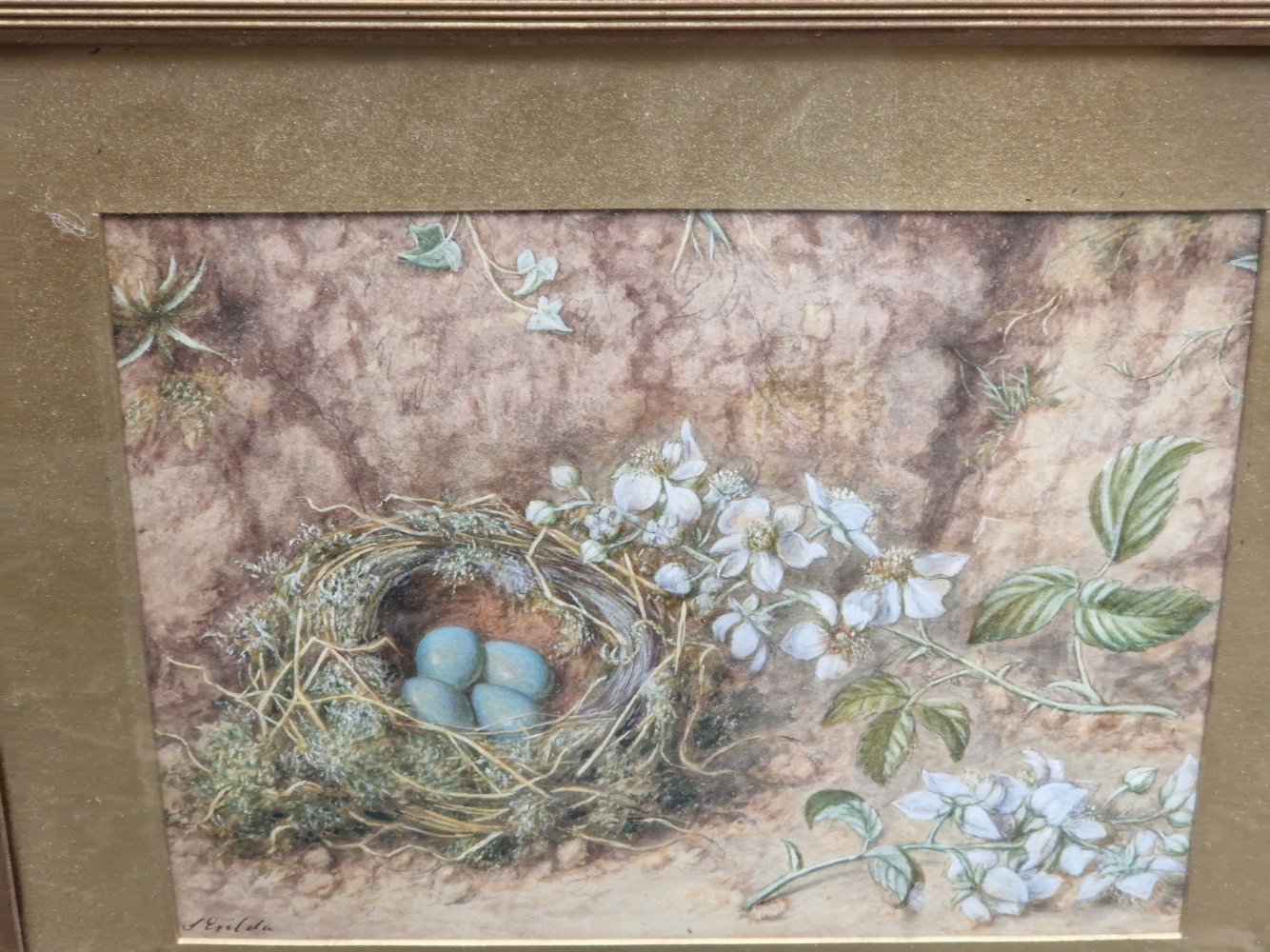 19th CENTURY ENGLISH SCHOOL A PAIR OF BIRD NESTS STILL LIFES, SIGNED INDISTINCTLY, WATERCOLOURS. - Image 4 of 7