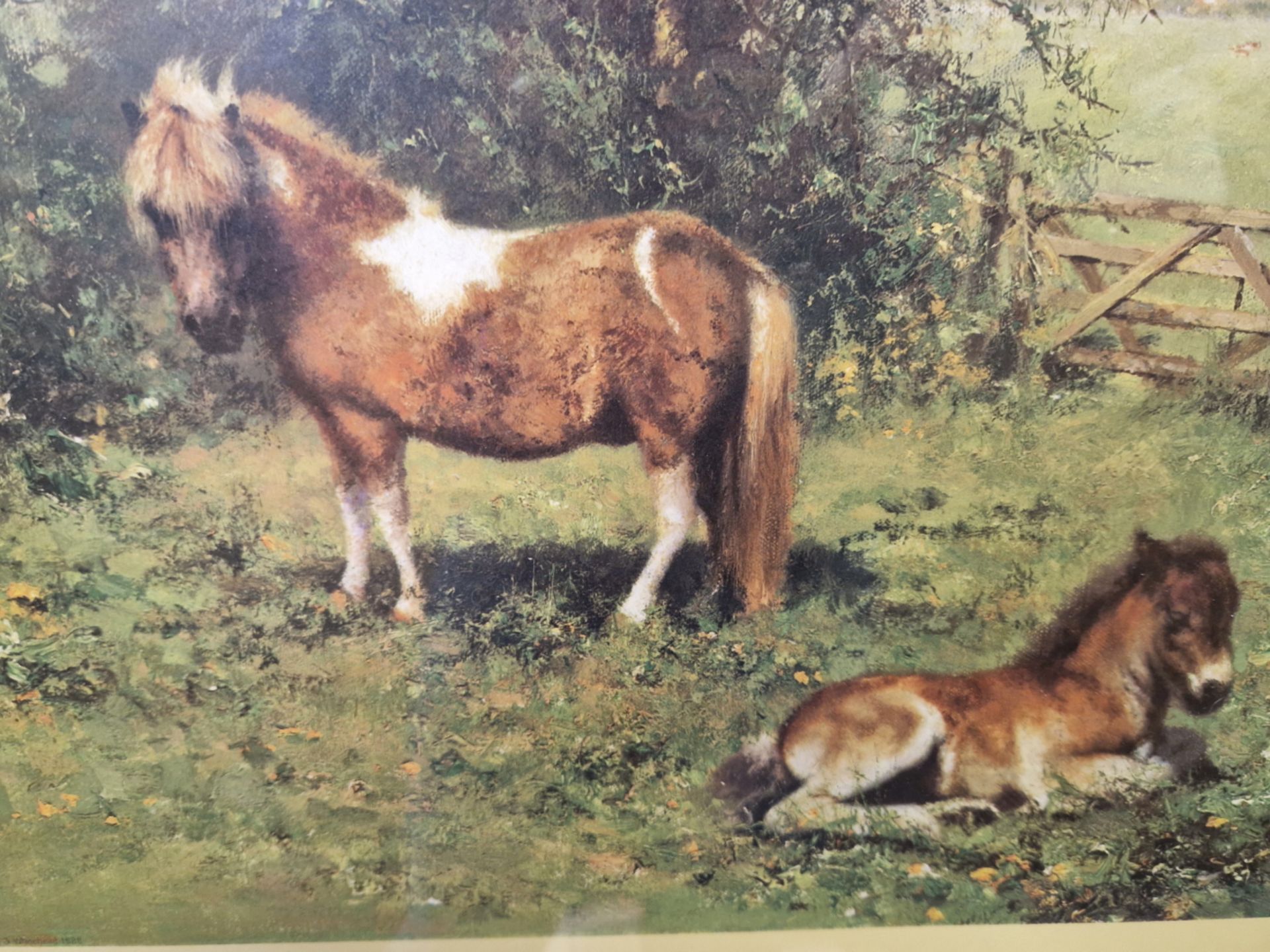 A PENCIL SIGNED COLOUR LIMITED EDITION PRINT AFTER DAVID SHEPHERD, SHELTIES. 28 x 42cms - Image 3 of 3