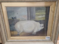 P. POTASHNICK A BIG PIG, SIGNED, OIL ON BOARD. 21 x 26cms