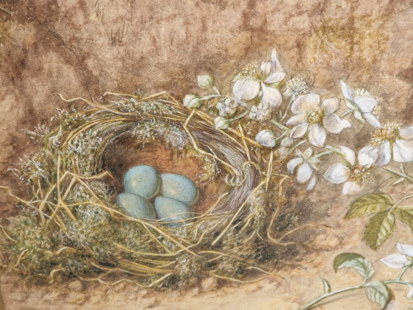 19th CENTURY ENGLISH SCHOOL A PAIR OF BIRD NESTS STILL LIFES, SIGNED INDISTINCTLY, WATERCOLOURS. - Image 5 of 7