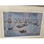 AFTER PETER SCOTT A PENCIL SIGNED LIMITED EDITION COLOUR PRINT OF DUCKS. 38 x 56cms