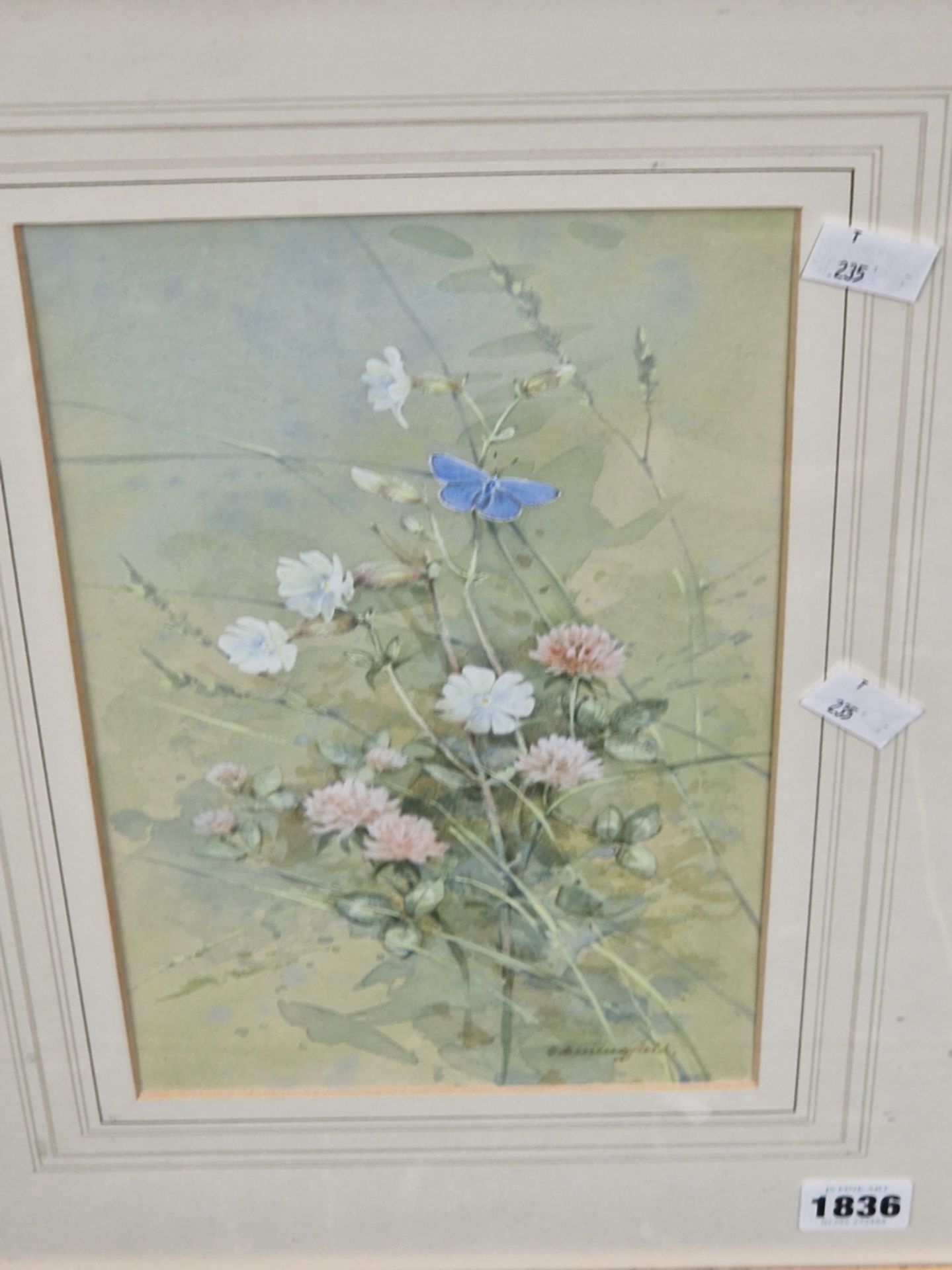 20th CENTURY ENGLISH SCHOOL A FLOWER STUDY WITH BUTTERFLY, SIGNED INDISTINCTLY, WATERCOLOUR. 30 x