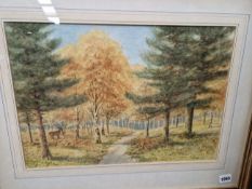 20th CENTURY ENGLISH SCHOOL A WOODLAND VIEW, WATERCOLOUR. 32 x 46cms TOGETHER WITH A PENCIL SIGNED