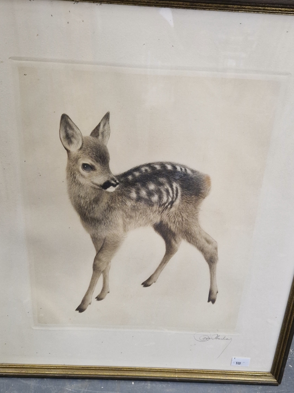 20th CENTURY CONTINENTAL SCHOOL TWO COLOUR PRINTS OF FAWNS. TOGETHER WITH TWO ANTIQUE FRENCH - Image 6 of 6