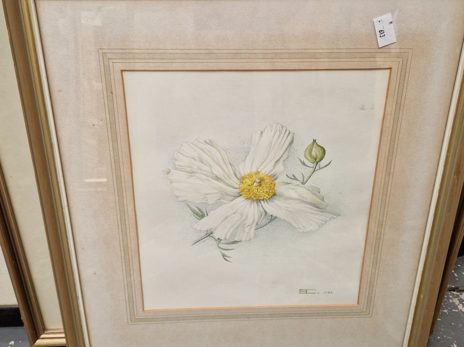 ROMNEYA COULTERI TWO WATERCOLOURS OF FLORAL SUBJECTS, SIGNED. LARGEST 54 x 37cms (2) - Image 4 of 7