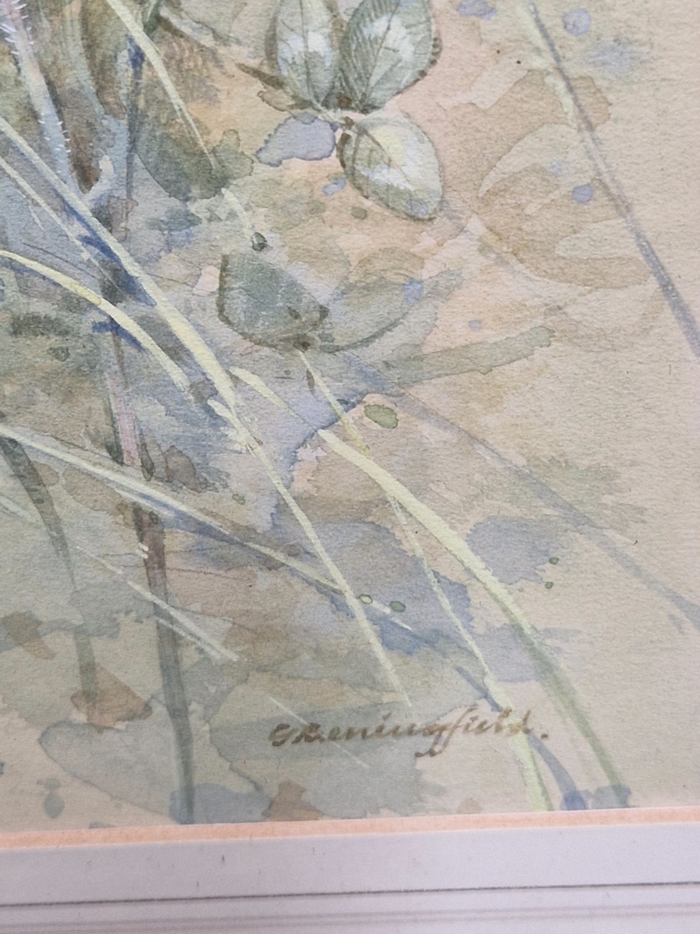 20th CENTURY ENGLISH SCHOOL A FLOWER STUDY WITH BUTTERFLY, SIGNED INDISTINCTLY, WATERCOLOUR. 30 x - Image 4 of 6