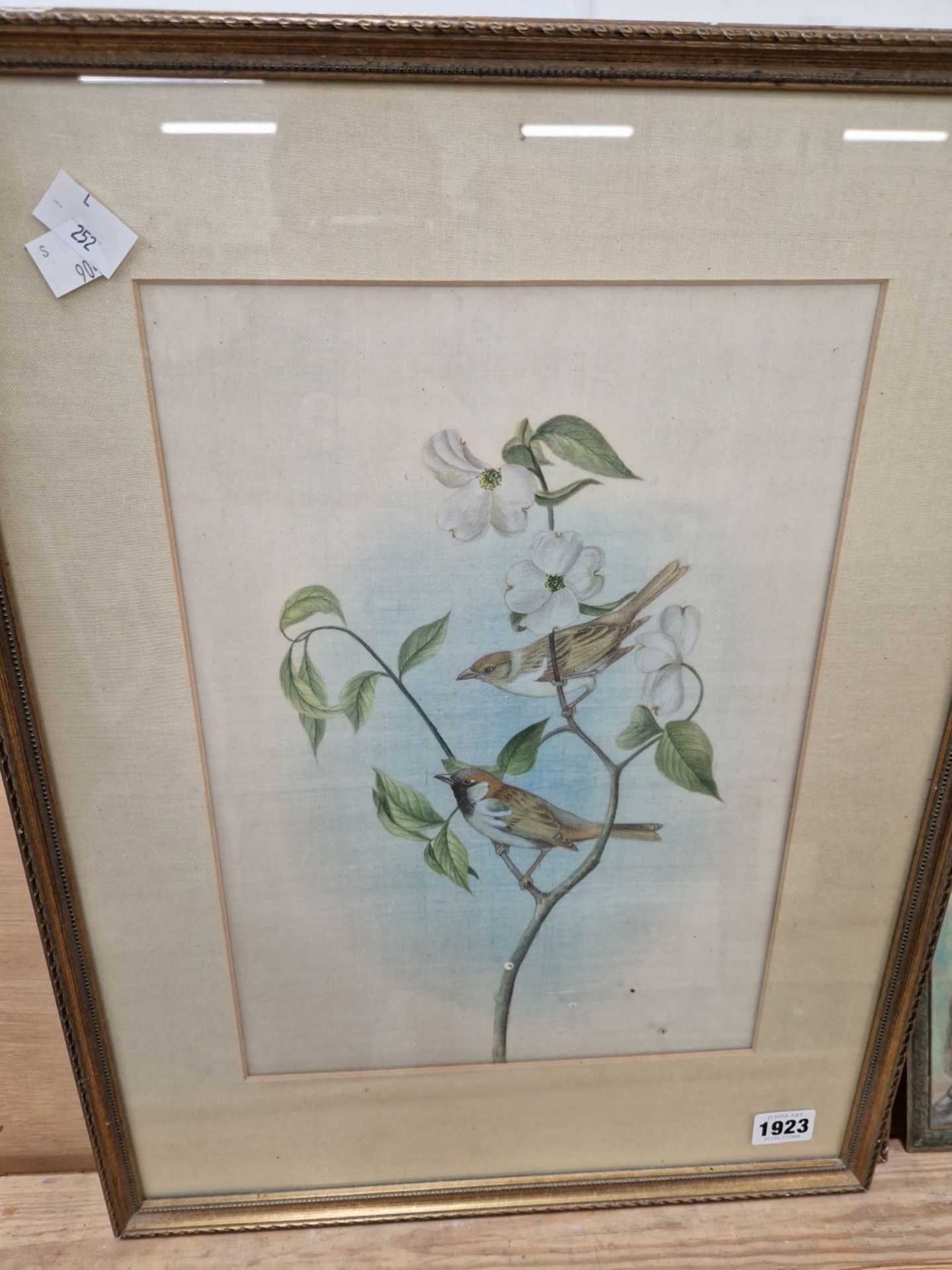 TWO VINTAGE ORNITHOLOGICAL COLOUR PRINTS (2)