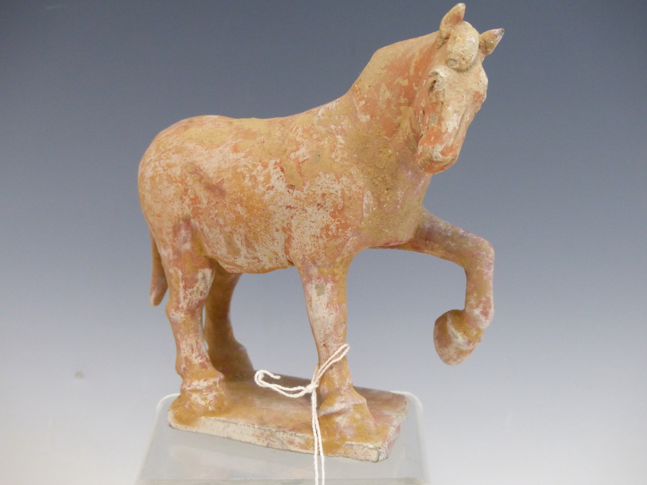 A TANG DYNASTY TERRACOTTA HORSE STANDING WITH ONE FRONT LEG RAISED, THE BODY WITH TRACES OF