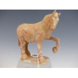 A TANG DYNASTY TERRACOTTA HORSE STANDING WITH ONE FRONT LEG RAISED, THE BODY WITH TRACES OF