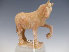 A TANG DYNASTY TERRACOTTA HORSE STANDING WITH ONE FRONT LEG RAISED, THE BODY WITH TRACES OF
