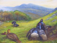 20TH CENTURY ENGLISH SCHOOL. BLACK GROUSE IN HIGHLAND LANDSCAPE. OIL ON CANVAS. 90 X 60 cm.