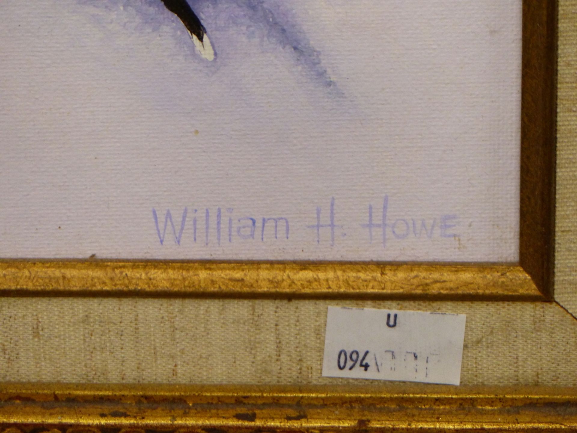 WILLIAM H. HOWE ( AMERICAN 1928-2009) ARR. BUTTERFLIES- MOTH BEAUTIES FROM SAN ANDREAS, TUXTLA, - Image 3 of 8