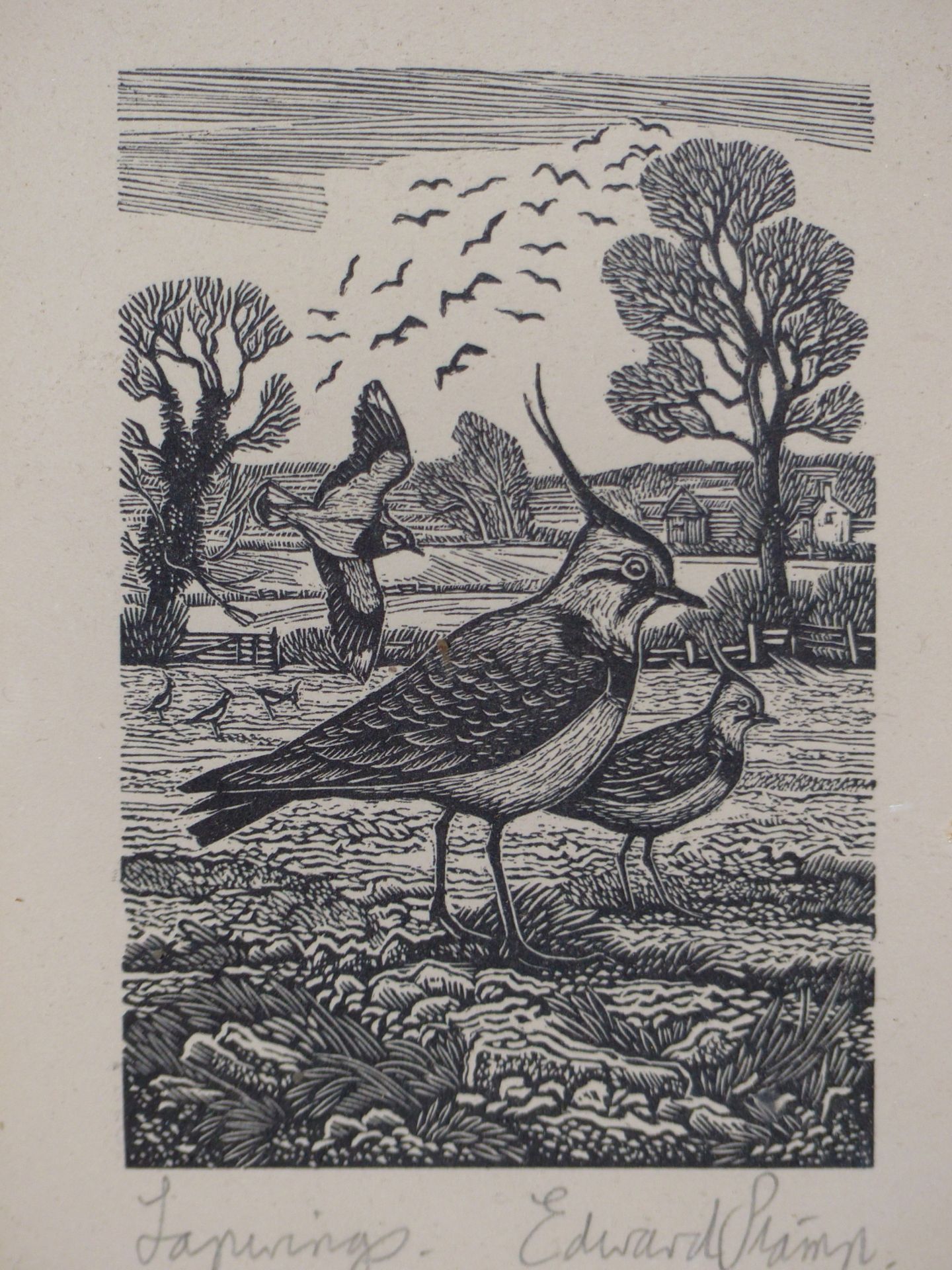 EDWARD STAMP ( 20TH C) ARR. LAPWINGS, WOODCUT PRINT. PENCIL SIGNED AND TITLED. 5.2 X 7.8 cm - Image 2 of 5