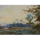WILLIAM MATHISON (FL.1883-1923) SHEEP IN A RIVERSIDE MEADOW, WATERCOLOUR, SIGNED LOWER LEFT. 71 X 47